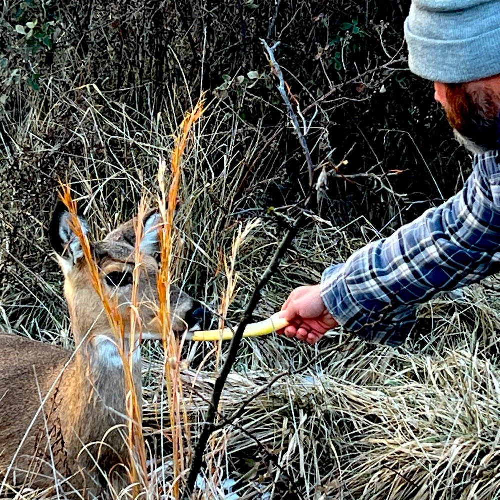 Meet your Posher, Victoria